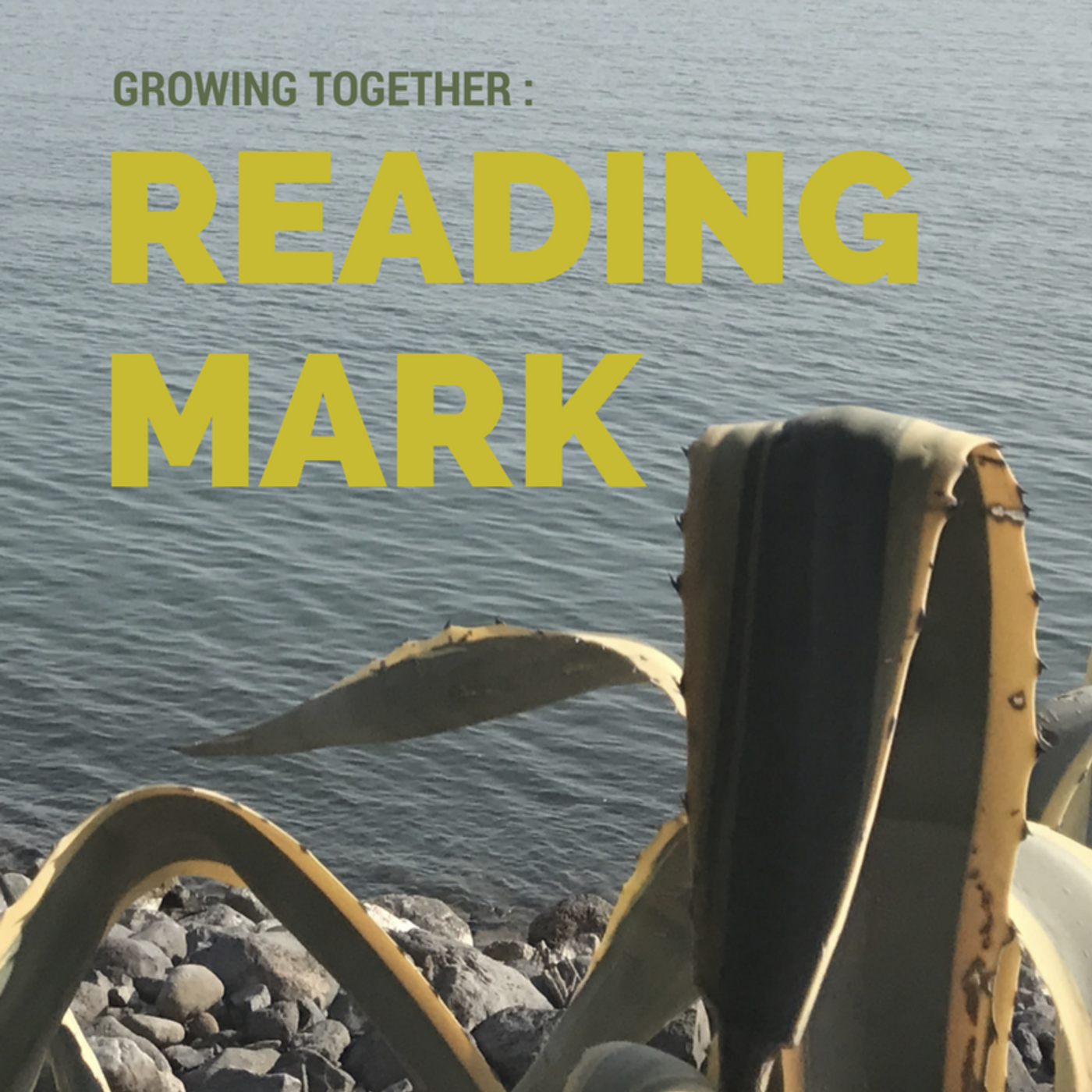 Mark 16.1-8